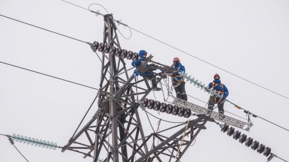 Свыше 900 фактов хищения электричества выявили воронежские энергетики с начала года