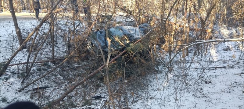 Воронежские полицейские вытащили ростовскую семью из загоревшегося автомобиля