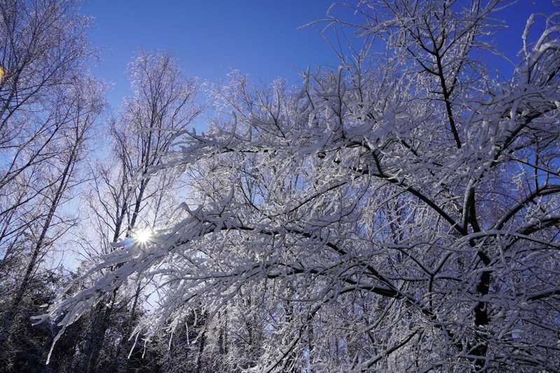 Морозная и сухая погода установится на рабочей неделе в Воронежской области
