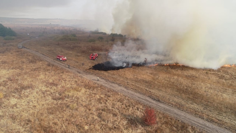 В Воронежской области зарегистрировали около 100 пожаров
