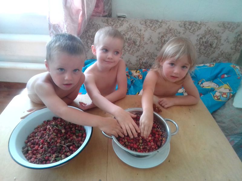 Пенсионный фонд уличили на незаконном отказе жительнице Воронежской области в детском пособии