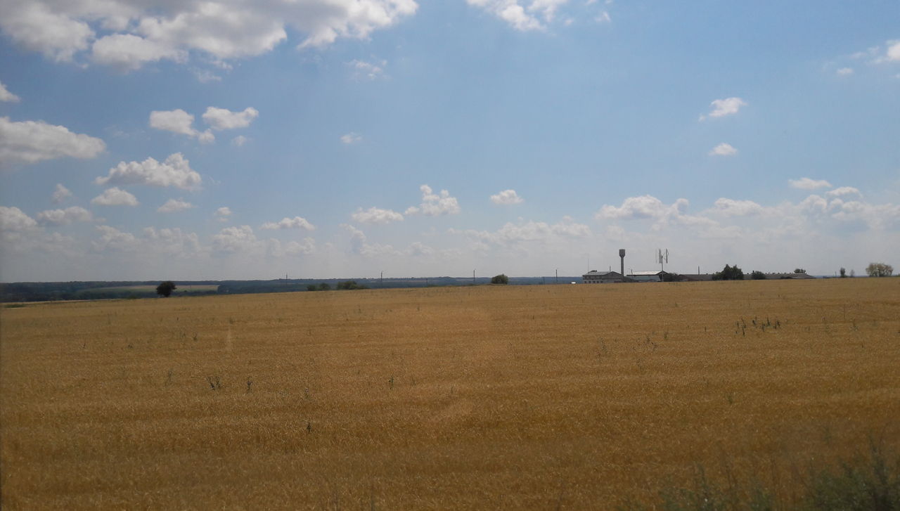 Первый миллион тонн зерна намолотили аграрии в Воронежской области