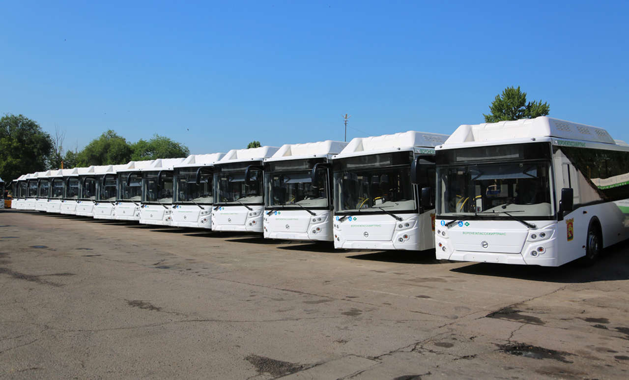 Автобусы почти на 180 млн рублей поставят в Воронежскую область