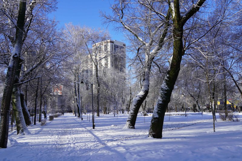 20-градусный мороз возвращается в Воронежскую область