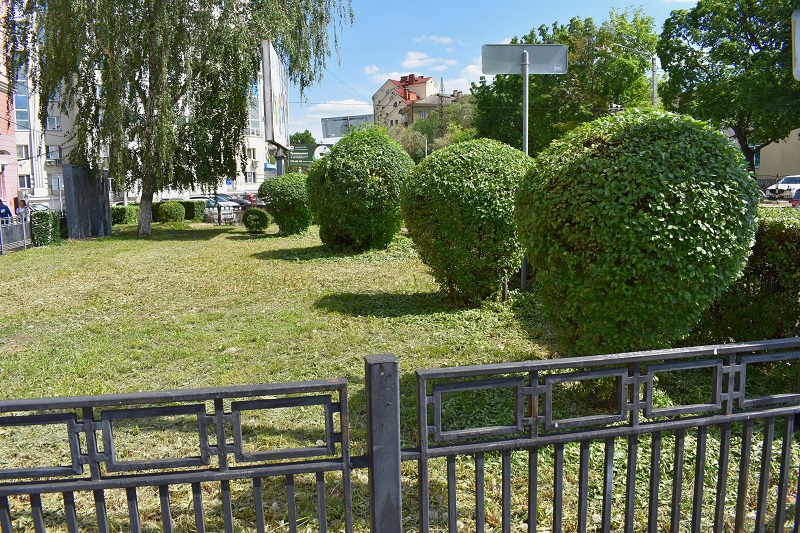 В Ленинском районе продолжают добрые традиции архитектурного озеленения