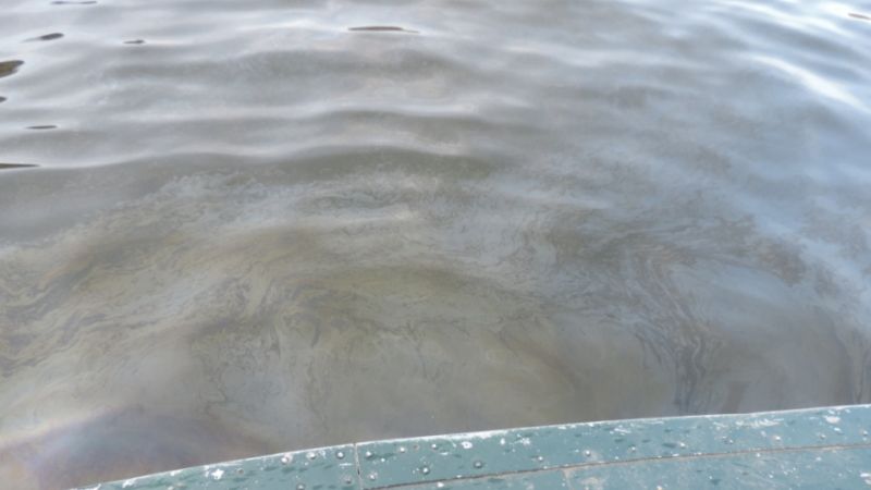 Опубликовали фото разлива нефтепродуктов на реке Усманке под Воронежем
