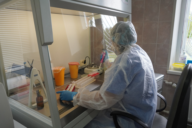 Воронежские учёные и врачи объяснили особенности нового штамма коронавируса «омикрон»