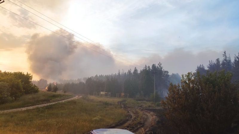  Пожары в Аннинском и Верхнемамонском районах Воронежской области ликвидированы