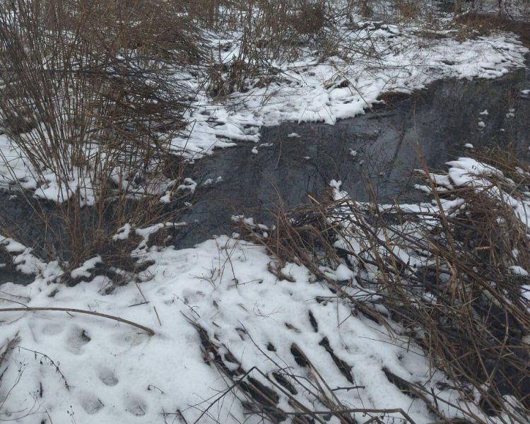 Под Воронежем в лесной массив попали сточные воды из разрушенного отстойника 