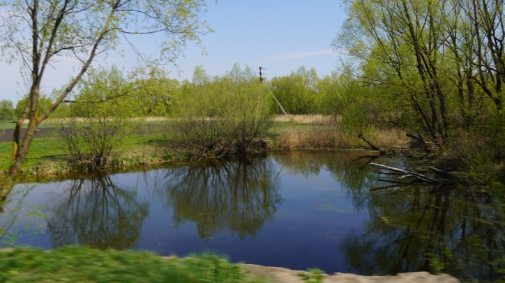 Росприроднадзор оценил ущерб реке Усманке от Липецкого водоканала в 4,1 млн рублей