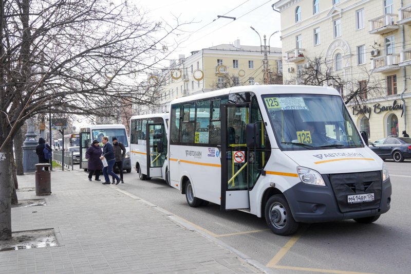 В Воронеже увеличили число выходящих на линию маршрутных автобусов