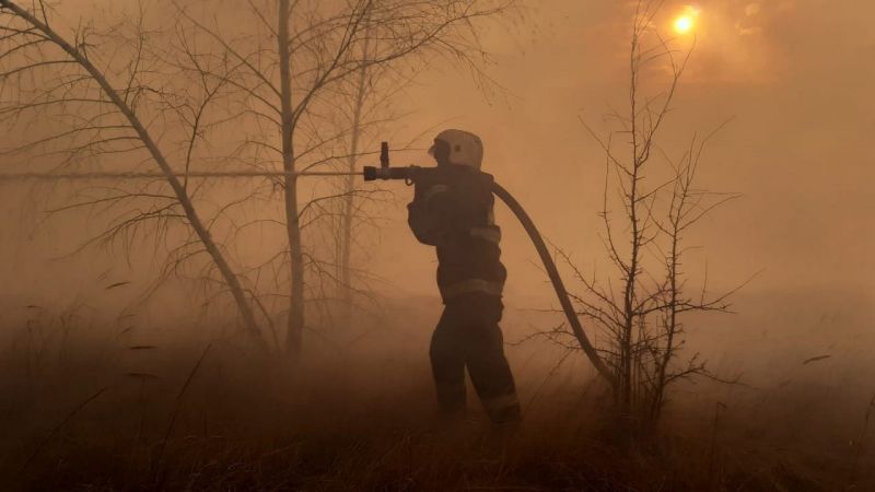 Тушение лесного пожара на Кожевенном кордоне в Воронеже осложняет ветер (ВИДЕО)