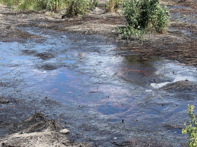 В Воронежской области общественники выявили места сброса токсичных отходов  