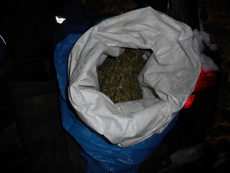 В Воронежской области в автомобиле полицейские нашли килограмм марихуаны