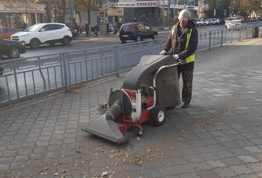 В Воронеже начались сезонные работы по уборке листьев