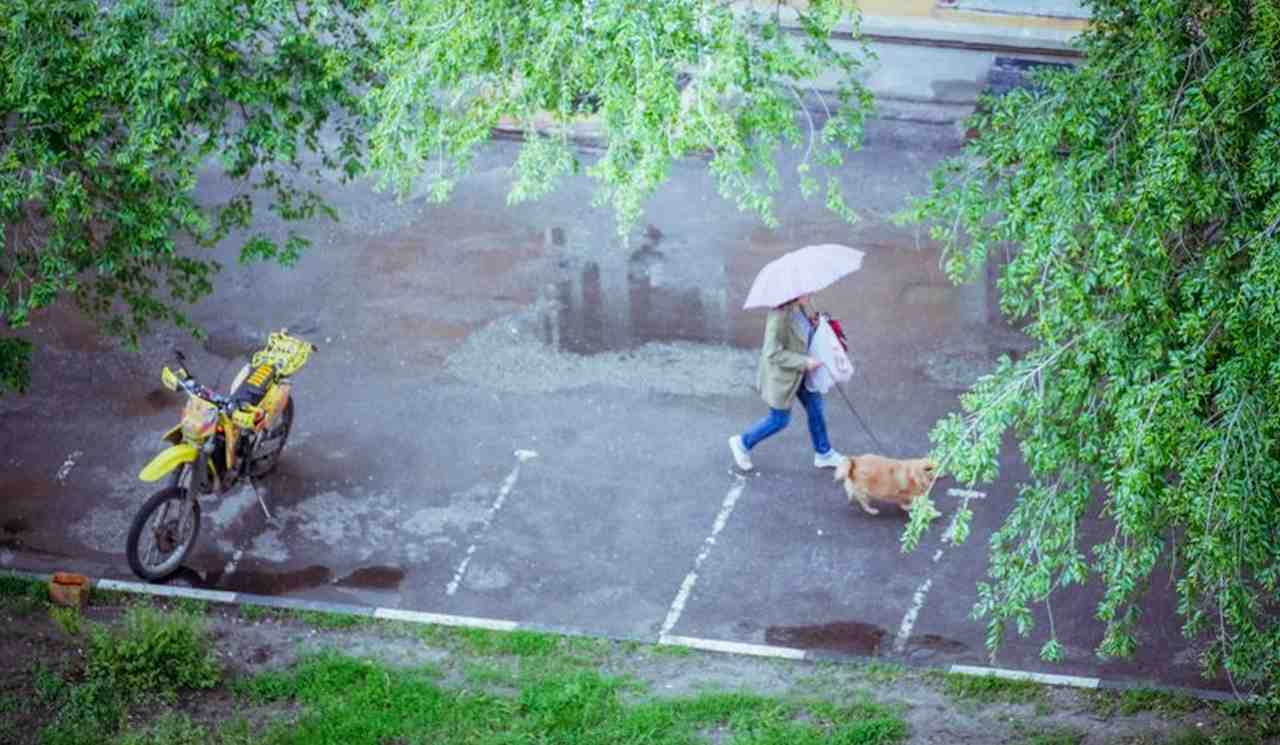 Похолодание и дожди ожидаются в длинные майские выходные в Воронежской области