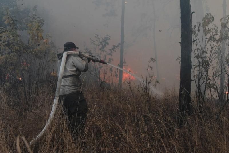 Спасатели умоляют не жечь костры: в Воронежской области бушуют три крупных пожара