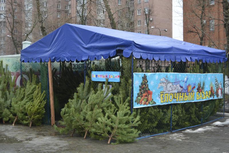 И снова рейд: в Центральном районе Воронежа проверили елочные базары