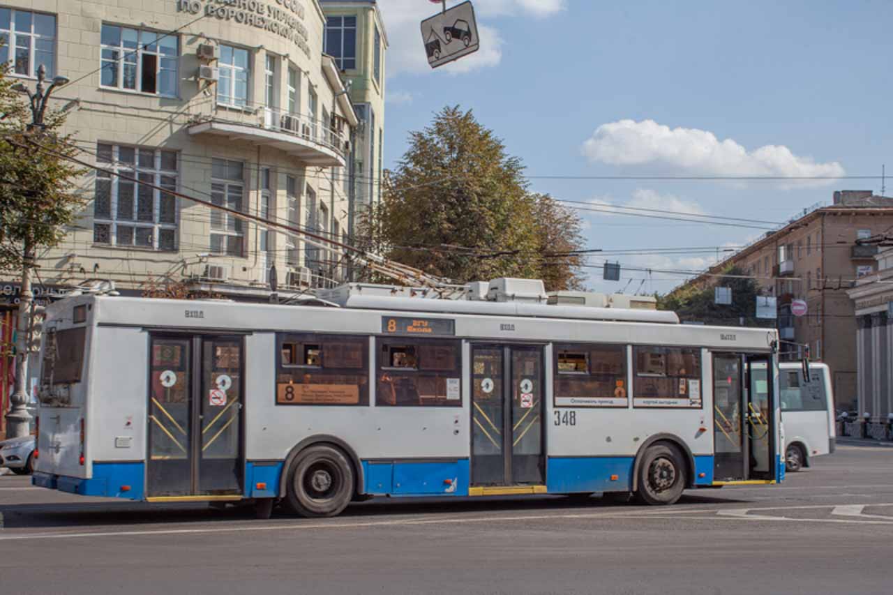 В Воронеже изменили движение ещё несколько маршруток и остановили троллейбусы