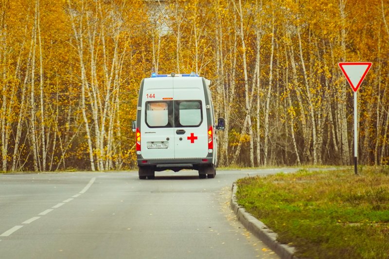 В Воронежской области за сутки 46 человек умерли от COVID-19 и 742 заболели