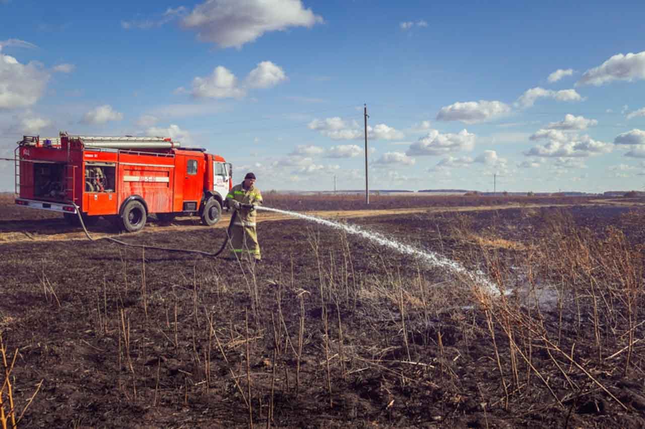 Высокий класс пожарной опасности установили в 11 районах Воронежской области