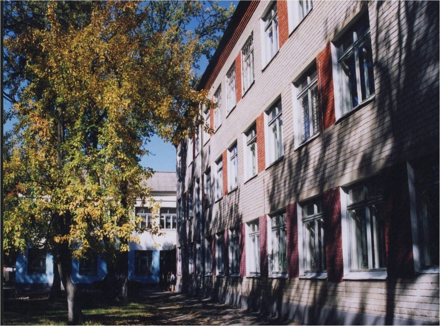 В Воронеже школу в Сомово полностью закрыли на карантин