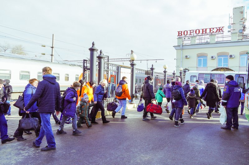 Прием заявлений от херсонцев на выдачу жилищных сертификатов стартовал в Воронежской области