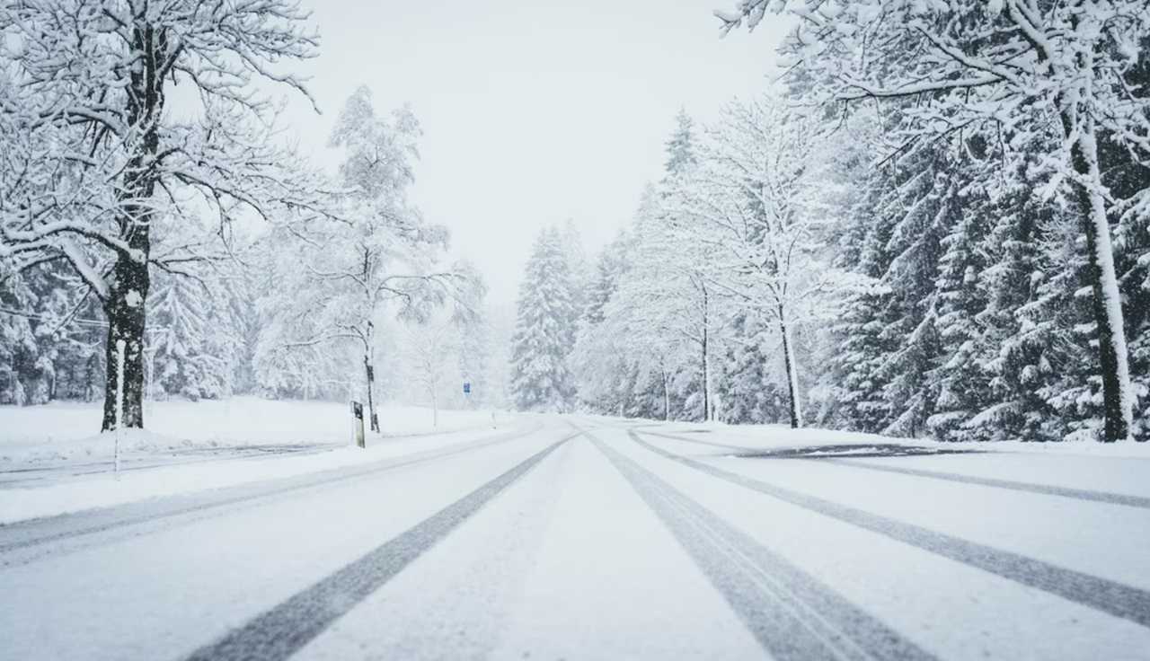 В ночь на Рождество в Воронежской области будет идти сильный снег