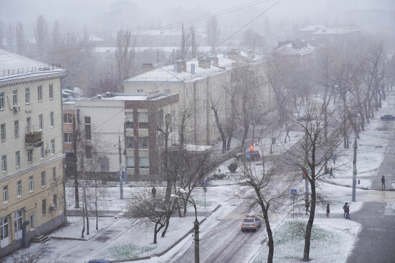 Метеорологи дали прогноз погоды на Рождество в Воронежской области