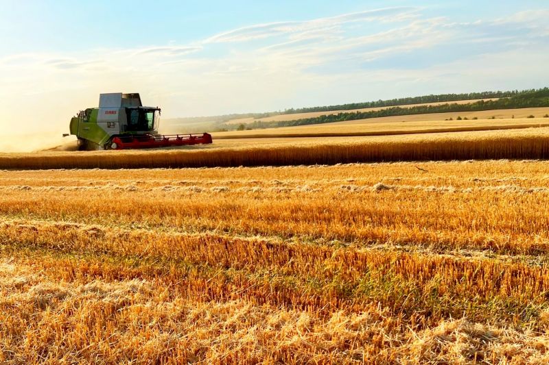 Воронежские аграрии собрали первый миллион тонн зерновых