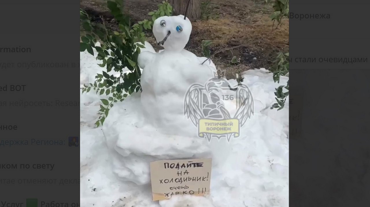 Воронежцев удивили сугробы в июне со снеговичком