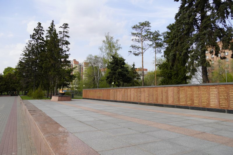 Проект сохранения братской могилы у памятника Славы в Воронеже подготовят липчане