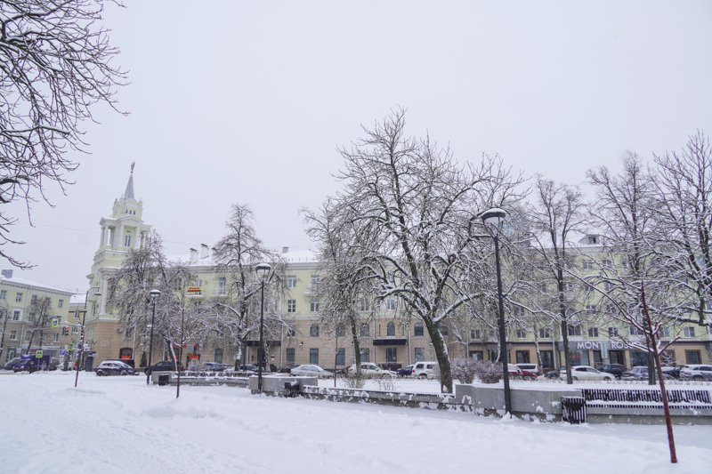 Морозная погода и небольшой снег ожидаются в Воронежской области в последние выходные января