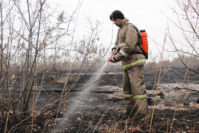 Воронежские пожарные за выходные дни 179 раз выезжали на тушение сухой травы