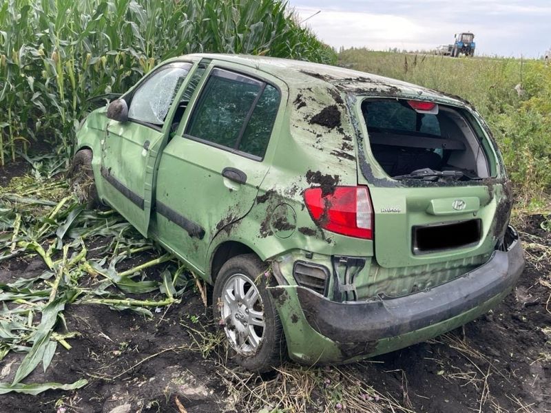 В опрокинувшемся в воронежском кукурузном поле «Хендае» пострадала женщина