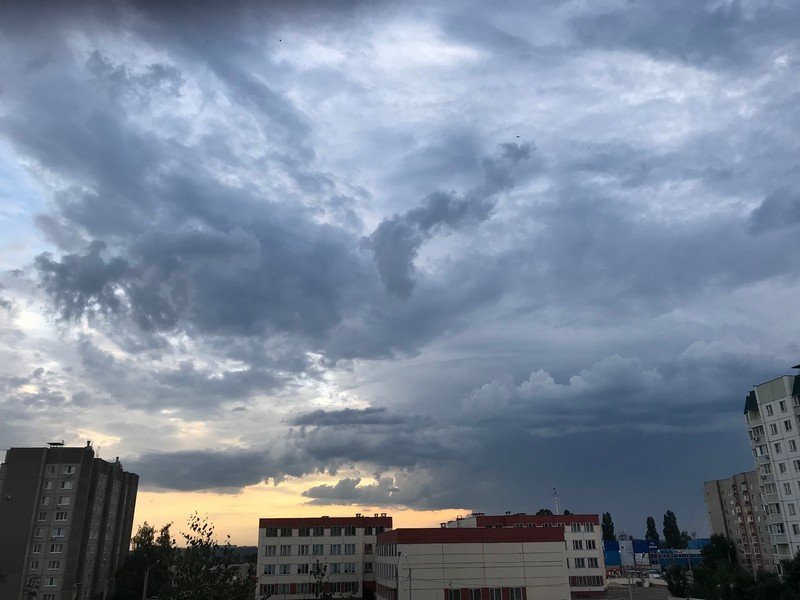 О погоде на сокращённой рабочей неделе в Воронеже рассказали метеорологи