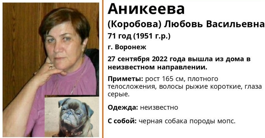 В Воронеже пропала пенсионерка, вышедшая на прогулку с собакой