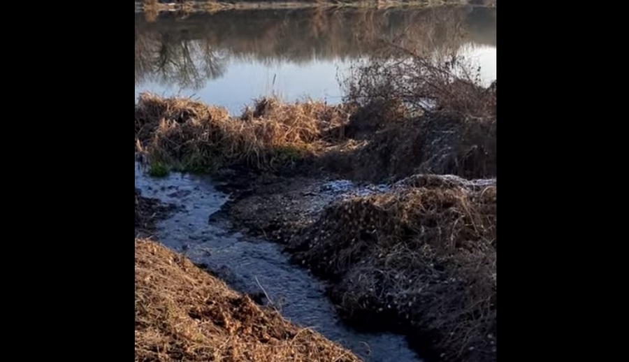 Слив канализации в Дон у воронежского коттеджного посёлка возмутил жителей