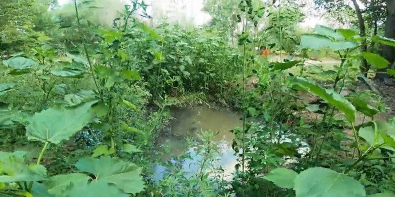 В Воронеже на левом берегу канализационный ручей устремился в водохранилище