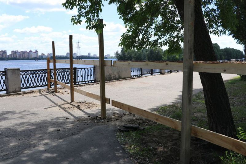 Мэр призвал минимизировать вырубку деревьев при благоустройстве Петровской набережной в Воронеже