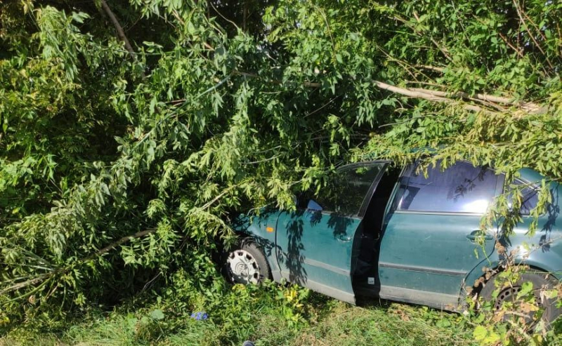 Под Воронежем водитель Volkswagen погиб в ДТП с деревом 