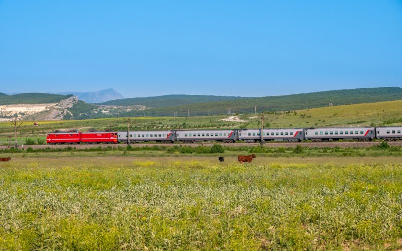Очередной дополнительный поезд в Крым запустят через Воронеж с 1 июля