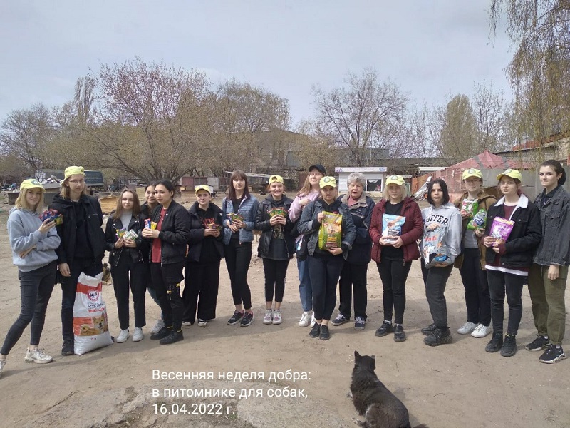 В Коминтерновском районе проходят благотворительные акции молодёжи