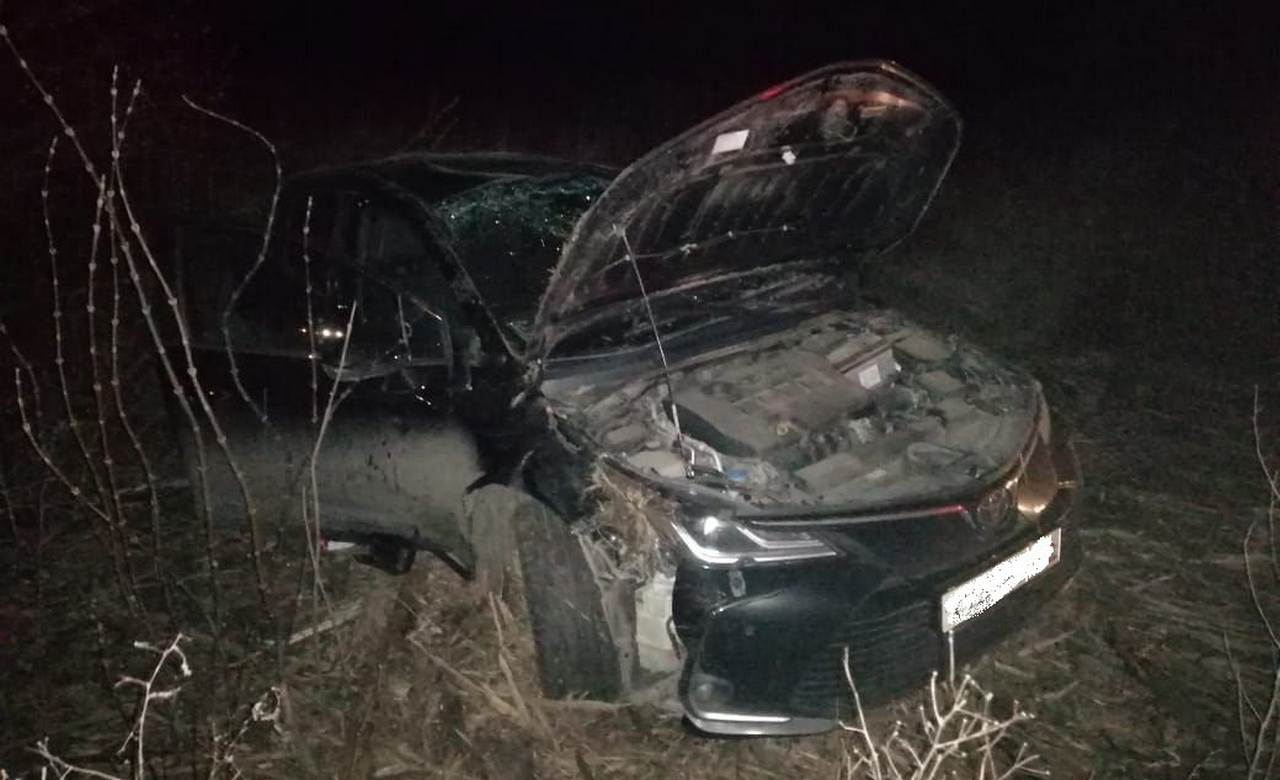 В Воронежской области 19-летний автомобилист на скорости вылетел в кювет и погиб 
