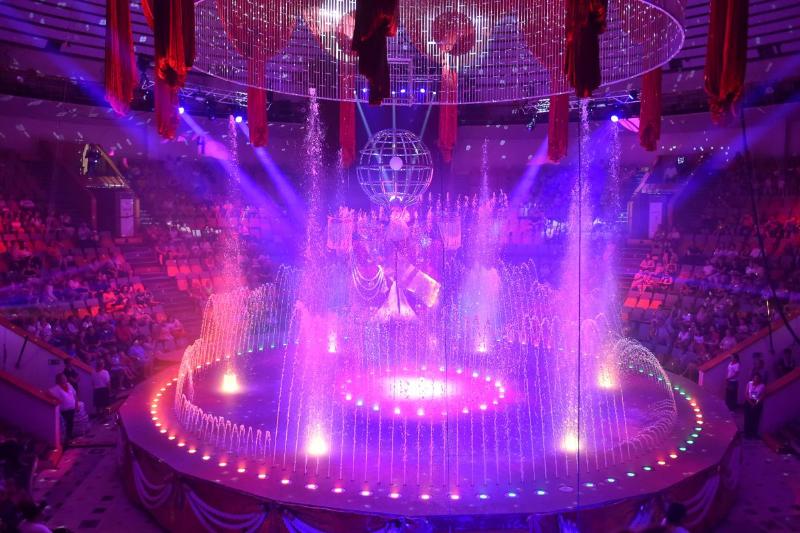 Перед масштабной реконструкцией Воронежский цирк представит шоу фонтанов «Принц цирка»
