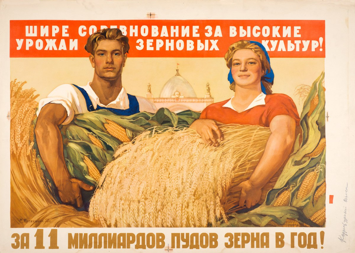 Пошел урожай. Плакат сельское хозяйство. Советские плакаты. Лозунги сельского хозяйства. Плакаты СССР колхоз.