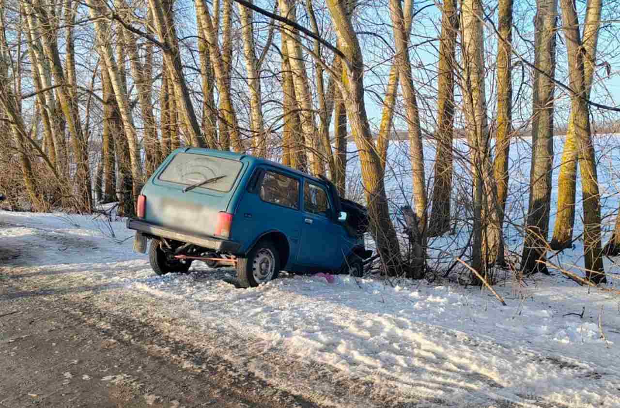  Водитель «Нивы» попал в больницу после ДТП с деревом в Воронежской области