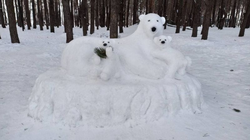 Белые медведи появились в воронежском парке