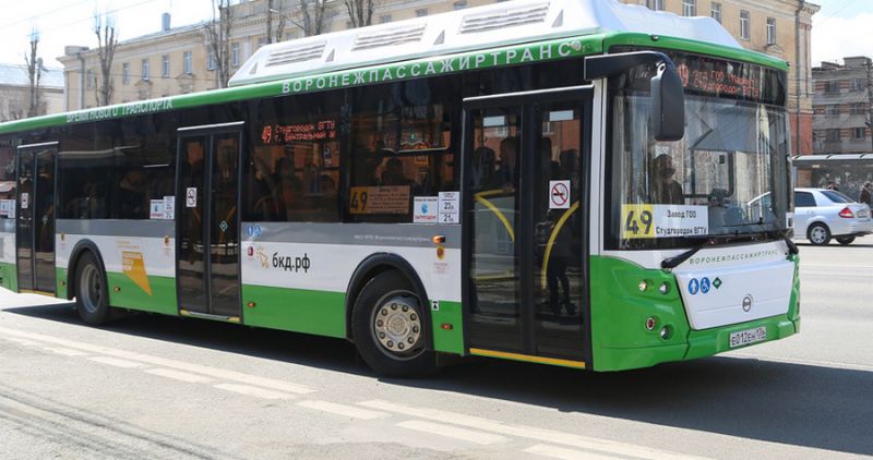 Введение безлимитных проездных в автобусах отложили в Воронеже