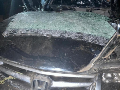 «Хонда» ночью съехала в кювет и врезалась в дерево в Воронежской области, водитель погиб